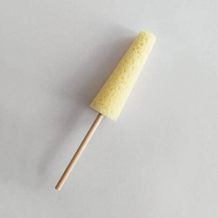 Konik Sünger - Küçük - 1